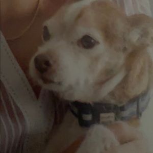 Meet your Posher, Alan